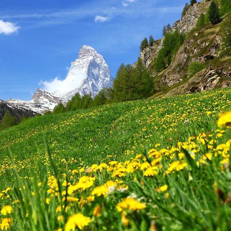 Apartment Kondor By Interhome Zermatt Exterior foto