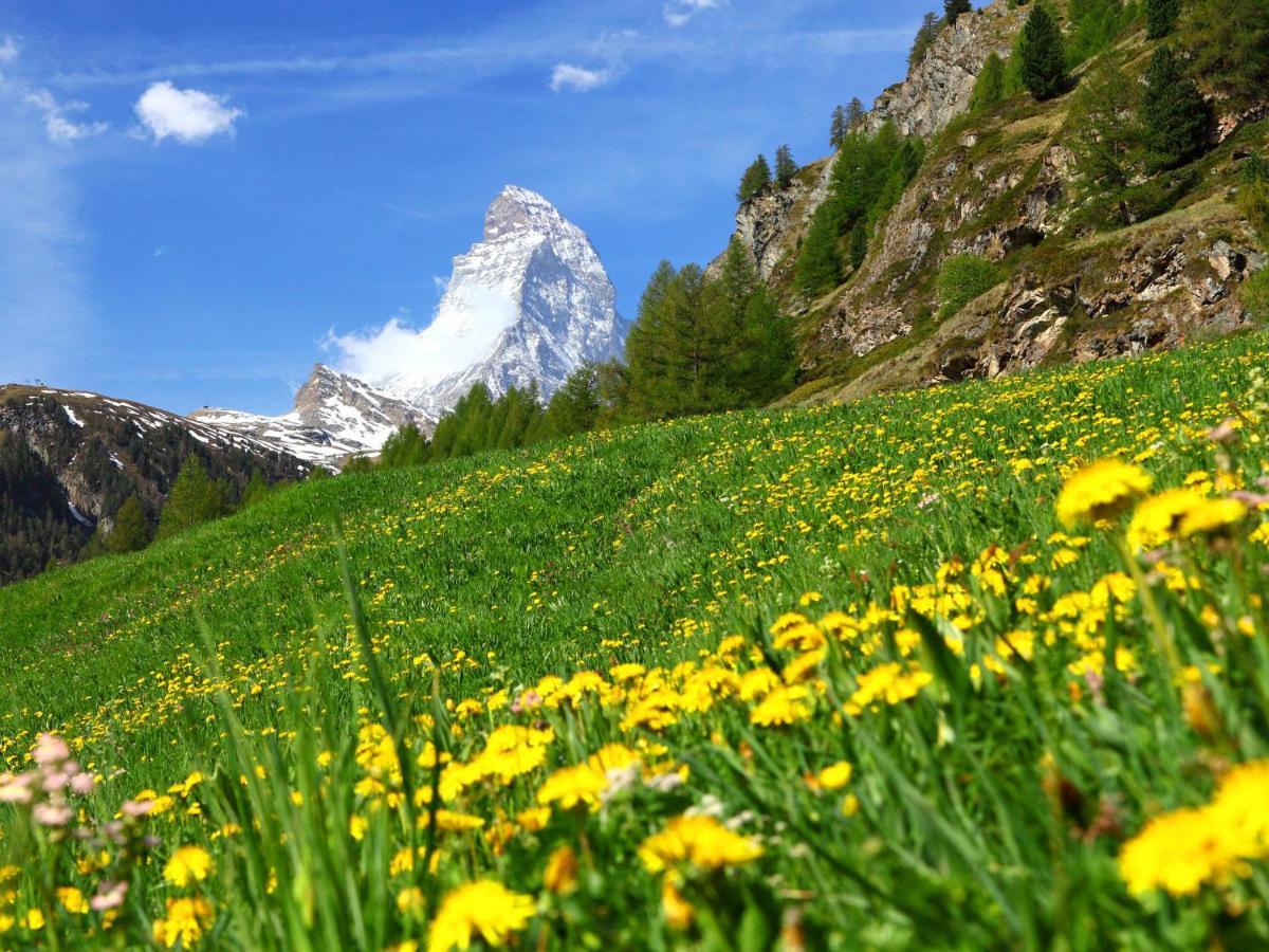 Apartment Kondor By Interhome Zermatt Exterior foto